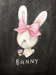画像6: 修了証・ブロンズプロコース＋テキスト (6)
